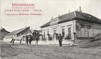 Pécs Meisenzahl lókereskedés