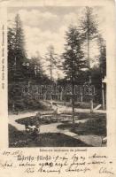 Bártfafürdő, freshwater swimming pool and resting place (b)