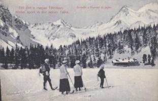 Tátra Poprádi-tó winter life, skiers on the ice (EB)
