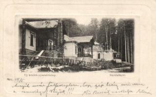 Bártfafürdő holiday site