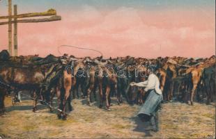 Élet a Hortobágyon, Pányvavető csikós / Hungarian folklore (fa)