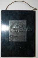 cca 1930 Délvidéki Aero Klub "Teljesítményplakett", 16x12cm