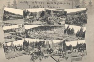 Gyulafalva-Kovászna forest industry (EK)