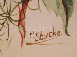 Stucke jelzéssel: Rózsa. Akvarell, papír, üvegezett keretben, 39x15cm