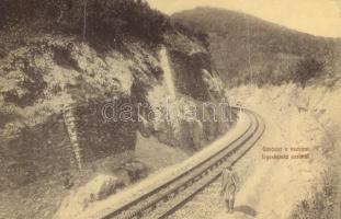 Tiszolc cogwheel railroad (fa)