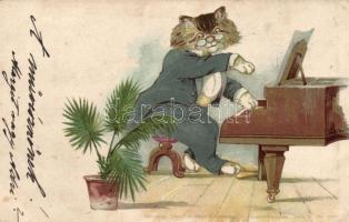 1899 Cat, piano, litho