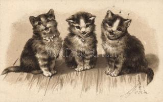 Cats Emb. litho