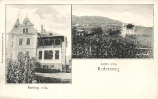 Badacsony Bertényi- és Szűcs-villa