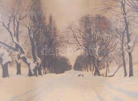 Erdőssy Béla (1871-1928): Téli országút varjakkal. Színes litográfia, papír, jelzett, üvegezett szép...