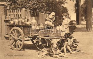 Flamande Milchhändler