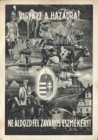 Hungarian patriotic propaganda (EB)