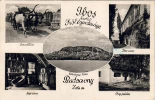 Badacsony mit Werbung (EB)