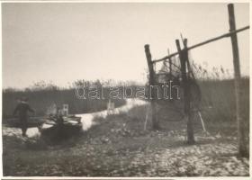 cca 1930 "Pihenő varsák a pákozdi szigeten", 12,5x17,2cm