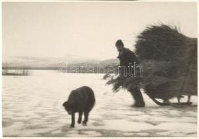 cca 1930 A nádvágó, Velencei tó, 12,5x17,2cm