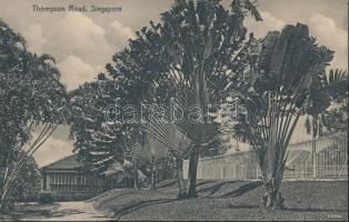 Singapore Thompson road