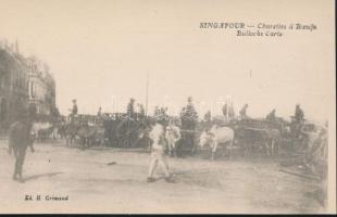 Singapore oxen and carts