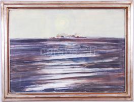 Kurucz D. István (1914-1996): Tanya '974. Olaj, vászon, jelzett, üvegezett keretben, 60x80cm