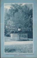 Trencsénteplic two-leaved hornbeam (fa)