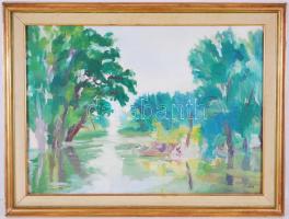 Lics Zsuzsa (1944-): Holt Tisza ág. Olaj, farost, jelzett, üvegezett keretben 62×82 cm