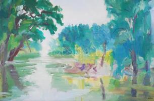 Lics Zsuzsa (1944-): Holt Tisza ág. Olaj, farost, jelzett, üvegezett keretben 62×82 cm