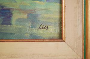 Lics Zsuzsa (1944-): Holt Tisza ág. Olaj, farost, jelzett, üvegezett keretben 62×82 cm