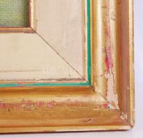 Lics Zsuzsa (1944-): Holt Tisza ág. Olaj, farost, jelzett, üvegezett keretben 62×82 cm