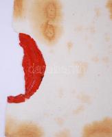 1808 Kamarási kinevezési okirat Batthyány István gróf részére. 10G benyomott szignettával, szép álla...