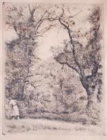 Varga Gyula (1935-): Tölgyes. Rézkarc, papír, jelzett, üvegezett keretben 52×42 cm