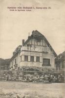 Budapest I. Eperjesy villa, Karap utca 15. (wet damage)