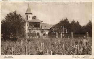 Révfülöp Fazekas nyaraló (EK)