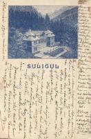 Felsővisó Suligul, s: Phanke