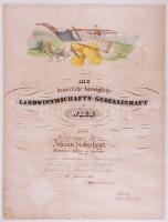 1856 A Bécsi Mezőgazdasági Társaság tagsági oklevél Siebenfreud nagyszombati kertész részére.  Kőnyomat. / 1856 k.u.k. Landwirtschafts-Gesellschaft in Wien diploma for a gardener in Tyrnau. Lithography. 40x55 cm