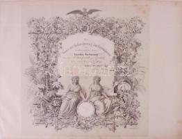 1857 Poroszországi Kertészeti Egyesület elismerő oklevele Siebenfreud nagyszombati kertész részére.  Kőnyomat. / 1857 Verein zur Beforderung des Gartenbaues Prussia diploma for a gardener in Tyrnau. Lithography. 36x39 cm