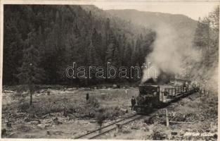 Dregán-völgy railroad (cut)