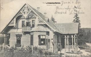 Borszék villa Bellevue (small tear)