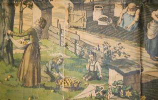 Cca 1900 A gazdálkodás. Német nyelvű iskolai szemléltető nagyméretű vászonkép, színes litográfia, 11...