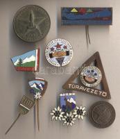 9db vegyes főleg zománcozott jelvény 1940-es évektől természetjáró, természetbarát egyesületek magyar és külföldi jelvényei T:1,2