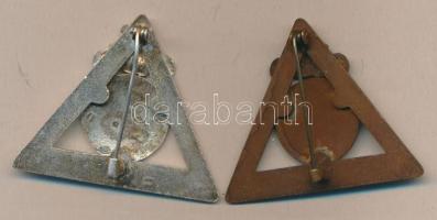 "Magyar Természetbarát Szövetség Túravezető - motoros" 2db zománcozott Br/ezüstözött Br ki...