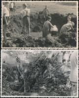 Budapest XVII. Rákoscsaba - 5 db képeslap, az orosz légitámadás bombabecsapódásának helye, a képeslapok hátoldalán pontos helymegjelöléssel