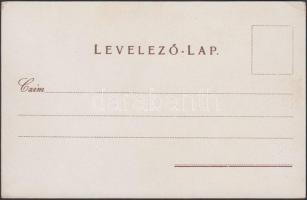 Budapest VI. Rózsa utca 55.; Rigler József Ede Papírnemű-gyára, litho