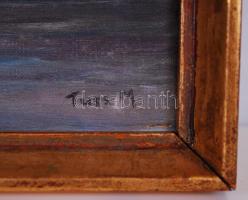 Tuss M jelzéssel: Vadkacsa. Olaj, vászon, keretben 28×38 cm