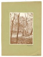 1913-1916 8 db Budapest fotó 11x8 cm