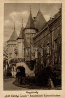 Nagykároly Károlyi István boy school (small tear)