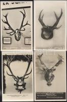 1937 Nemzetközi Vadászati Kiállítás Berlinben - 4 db használatlan, vadásztrófeás képeslap