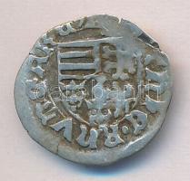1482-1490. Denár Ag "I. Mátyás" (4,47g) T:2-,3
Huszár: 720., Unger I.: 566.j