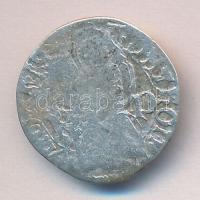 1471-1481. Denár Ag "I. Mátyás" (0,60g) T:2-,3 Huszár: 718., Unger I.: 564.j