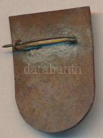 "Hunyadi János Gimnázium CSORNA" tűzzománc iskolajelvény T:2-(kis zománchiány)