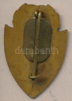 "Dombóvár Általános Gimnázium 1913-1963" zománcozott iskolajelvény T:2