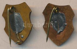 "Cinkotai 12. Évfoly. Isk. és Nevelőint." + "Berzsenyi Gimnázium 1858-1958" zomá...