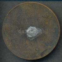 ~1930. Magyarfajta Kutyákat Tenyésztők Egyesülete Br emlékérem (40mm) T:2